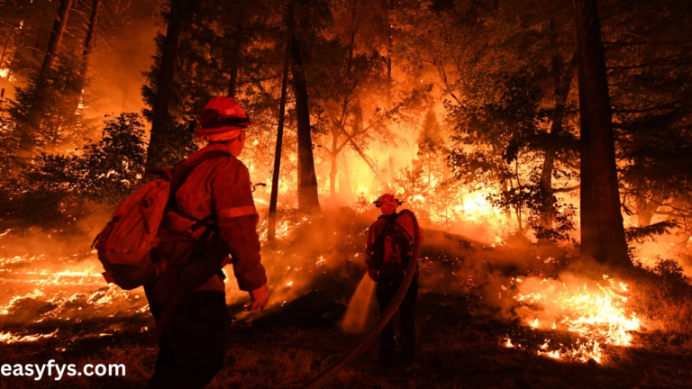 Alexander Mountain Fire: A Devastating Blaze in the Wilderness