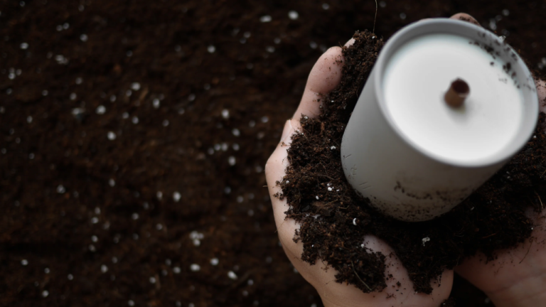 Petrichor Candle: Capturing the Essence of Rain