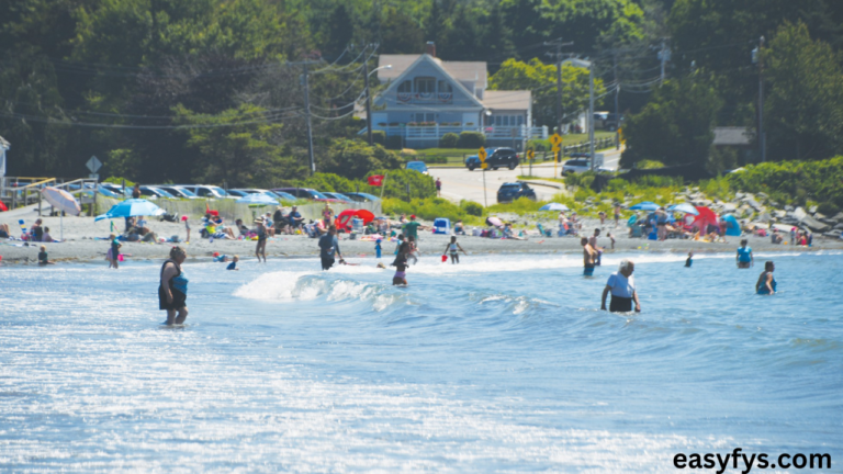 Mackerel Cove News: A Picturesque Gem in the Heart of Coastal Maine