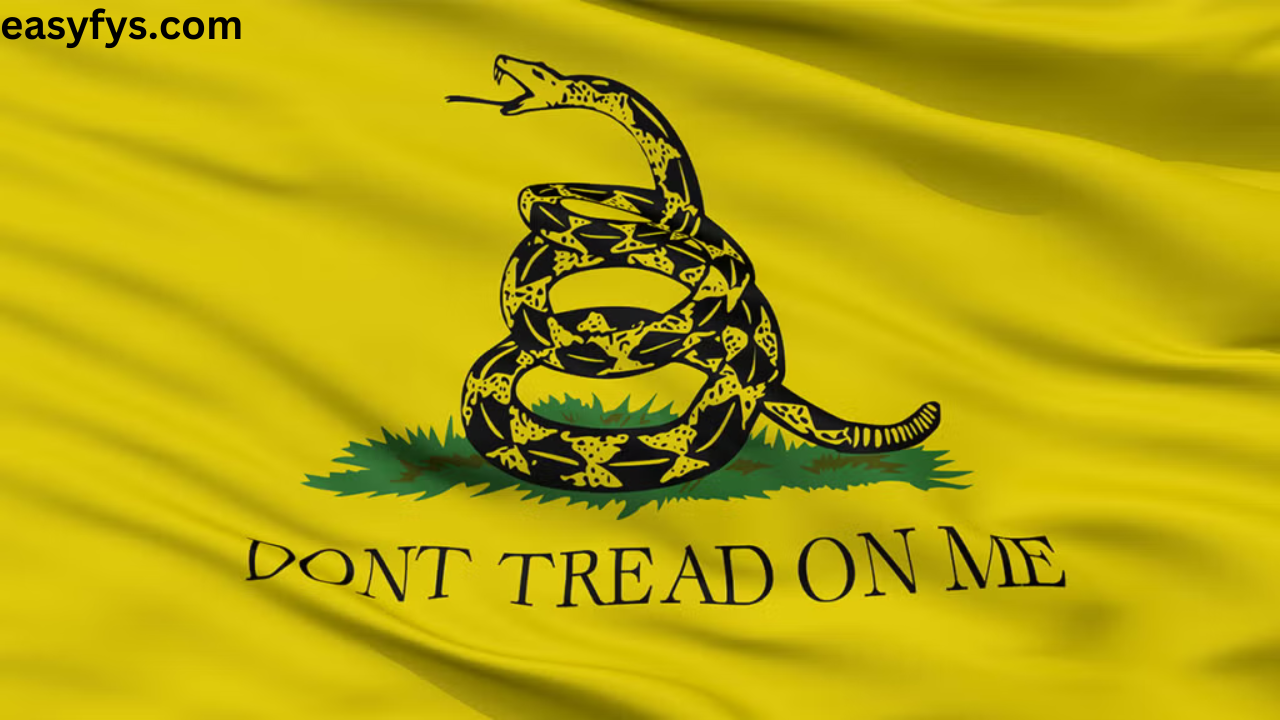 The Gadsden Flag Patch: History, Symbolism, and How to Wear It